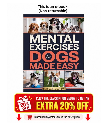 Mental exercises for dogs - exercises,